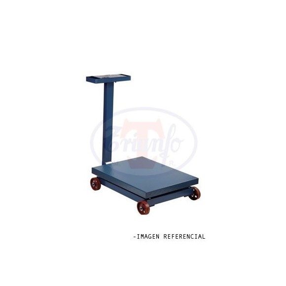 Plataforma con ruedas de Fierro - 40 x 50 cm para 300 Kg.