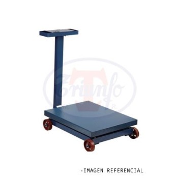 Plataforma con ruedas de Fierro - 40 x 50 cm para 300 Kg.